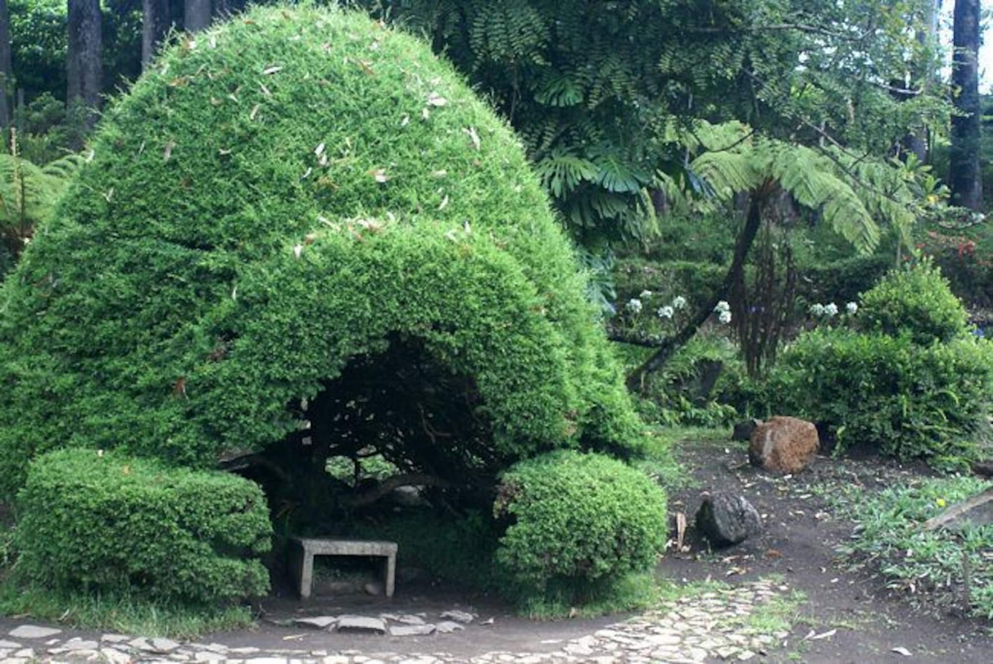 Casablanka Rest Pension Nanu Oya Buitenkant foto