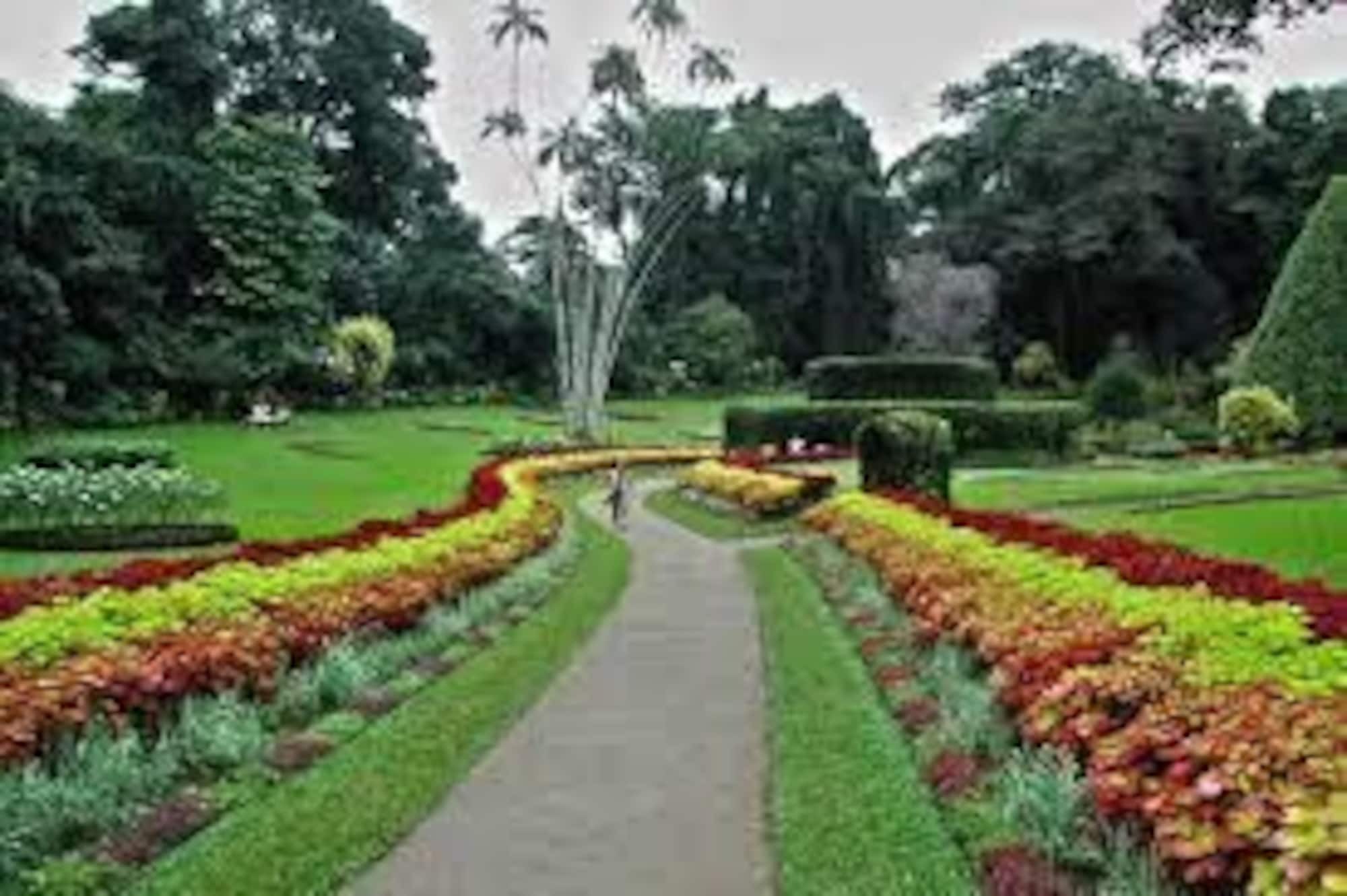 Casablanka Rest Pension Nanu Oya Buitenkant foto